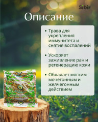 Звездчатки средней трава - Фото 1