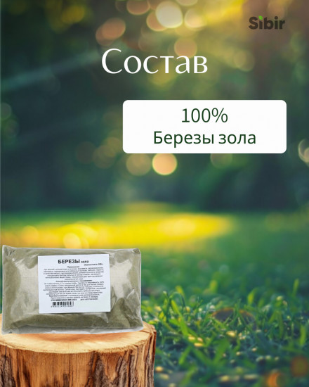 Березы зола