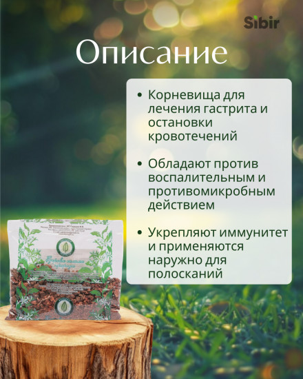 Калган корневища