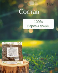 Березы почки - Фото 3