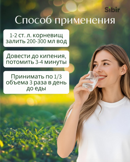 Березы почки