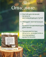 Березы почки - Фото 1