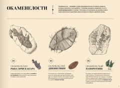 Утраченные пейзажи Земли - Фото 3