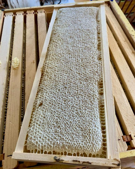 Мёд в сотах