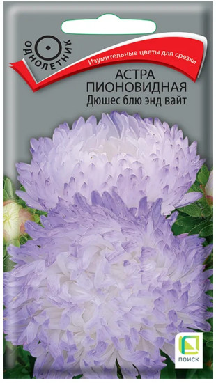 Семена астры пионовидной «Дюшес блю энд вайт»