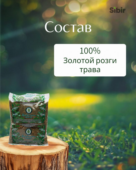 Золотой розги трава