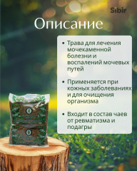 Золотой розги трава - Фото 1