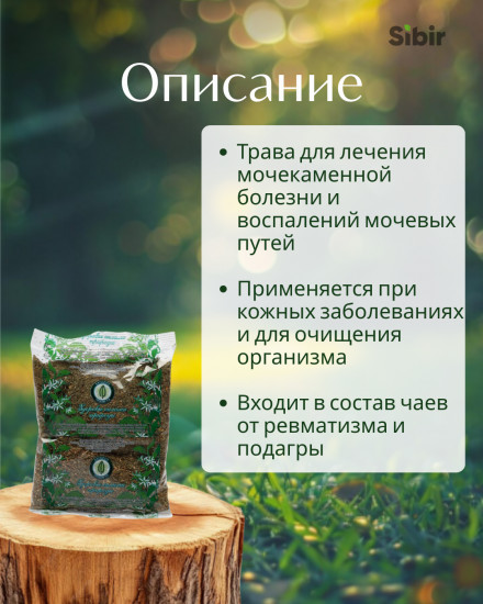 Золотой розги трава