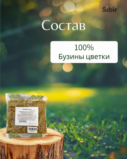 Бузины цветки