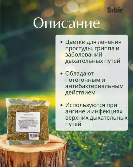 Бузины цветки