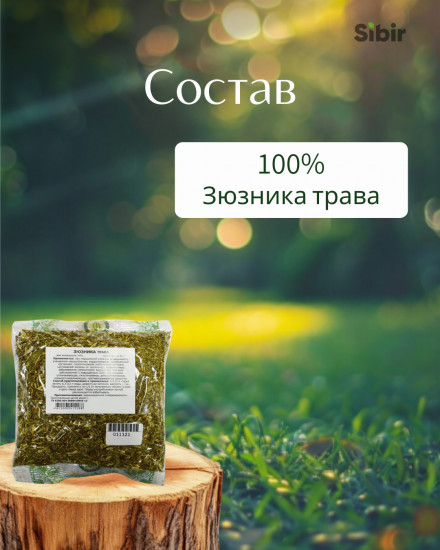 Зюзника трава