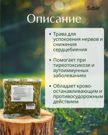 Зюзника трава