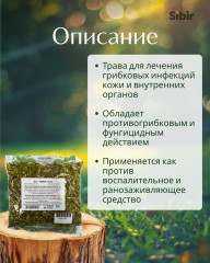 Вероники трава - Фото 1