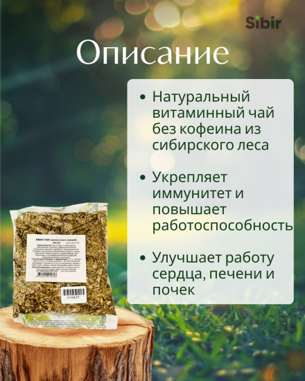 Иван-чай узколистный (кипрей)