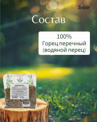 Горец перечный (водяной перец) - Фото 3