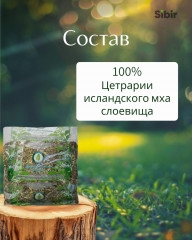 Цетрарии исландского мха слоевища, отхаркивающее, при простуде и гриппе - Фото 3