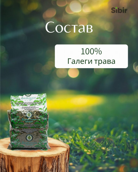 Галеги трава