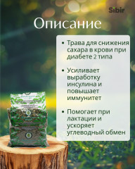 Галеги трава - Фото 1