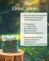 Гинкго билоба листья - Фото 1