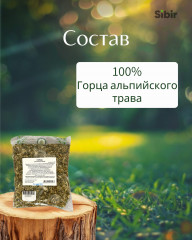 Горца альпийского трава - Фото 3