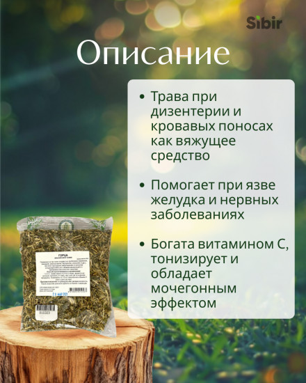 Горца альпийского трава