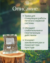 Чернобыльника трава - Фото 1