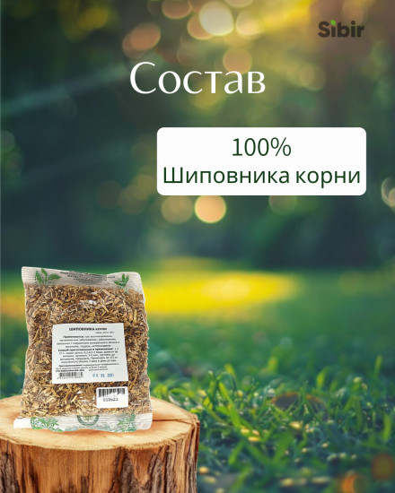 Шиповника корни