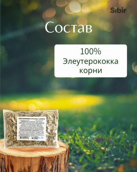 Элеутерококка корни