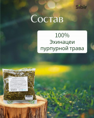 Эхинацеи пурпурной трава - Фото 3