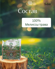 Мелиссы трава - Фото 3