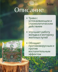 Мелиссы трава - Фото 1