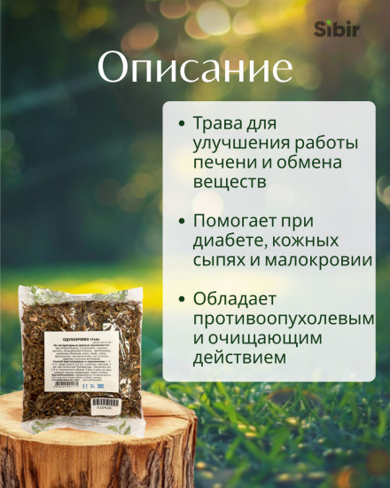 Одуванчика трава