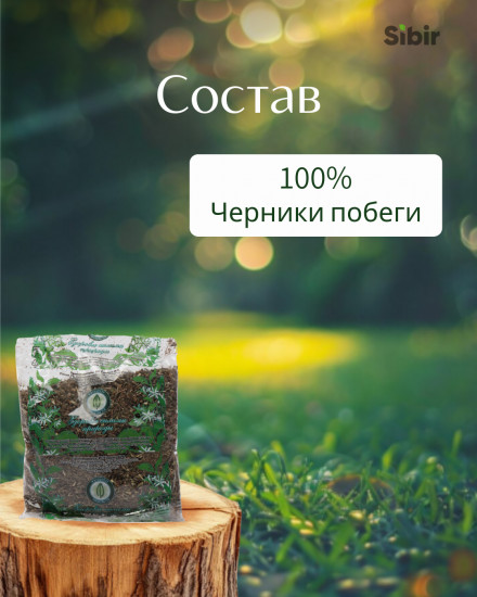 Черники побеги