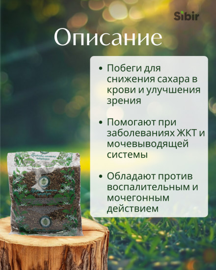 Черники побеги