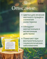 Бессмертника цветки - Фото 1