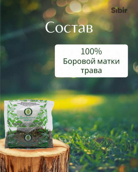 Боровой матки трава