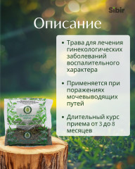 Боровой матки трава - Фото 1