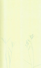 Книга об американской поэзии - Фото 1