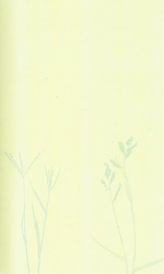 Книга об американской поэзии