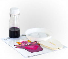 Набор для выращивания кристаллов «Фиолетовый монстрик» - Фото 2