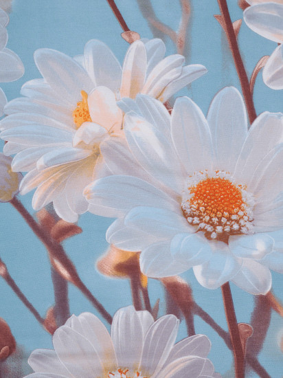 Простыня «Ромашки»