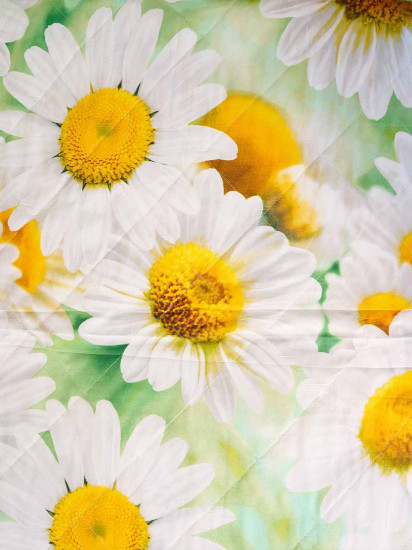 Комплект постельного белья «Русское поле»