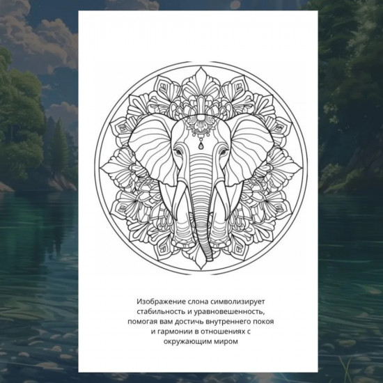 Раскраска «Мандалы. Единение с силами природы»