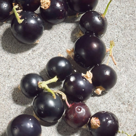 Туалетная вода «Violet»