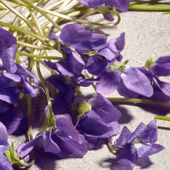 Туалетная вода «Violet»