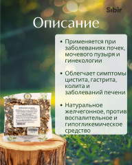 Одуванчика корневища - Фото 1