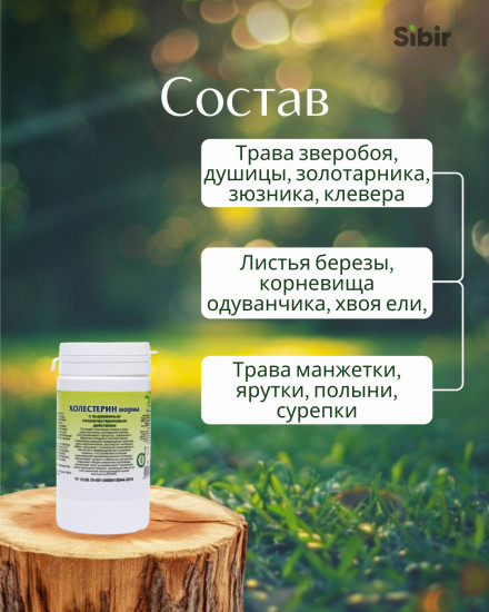 Таблетки «Холестерин норма»