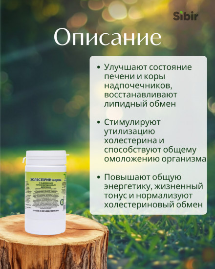 Таблетки «Холестерин норма»