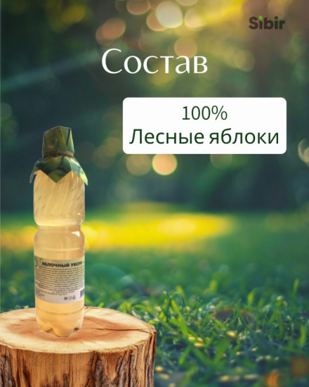 Уксус яблочный (из лесных яблонь)