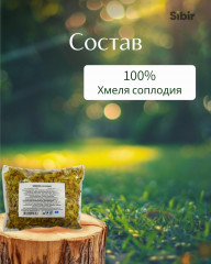 Хмеля соплодия - Фото 3